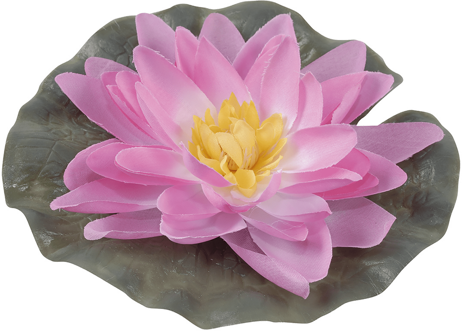 Лилия водная ø 15 см, розовая