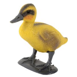 Standing duck