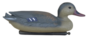 Утка кряква обыкновенная самка — GW7315