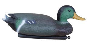 Утка кряква обыкновенная самец — GW7316