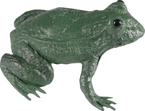 Frog – GW7331